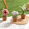 DIY Handmade Twist Stick Craft Small Potted Plants Chenille Stems Craft Pipe Cleaners Gift Decor Set