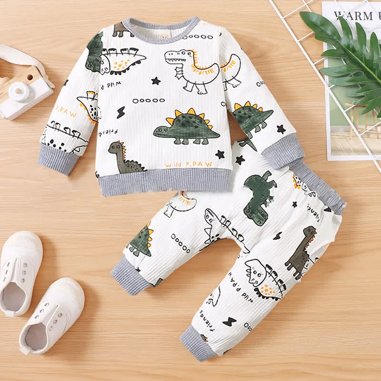 Baby Newborn Dinosaur Sweatshirt and Pants Set