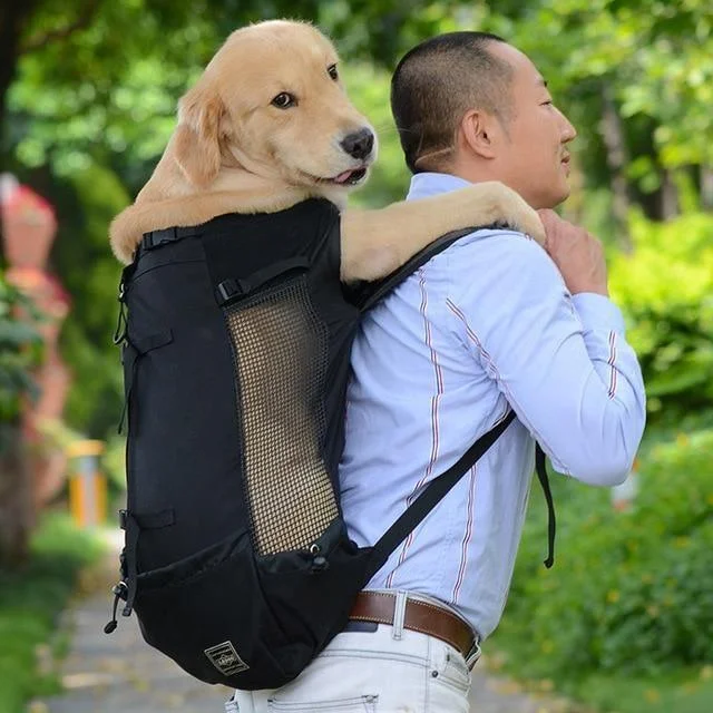 Pet Adjustable Dog Backpack carrier