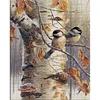 Bird - 18CT Stamped Cross Stitch - 40*50cm