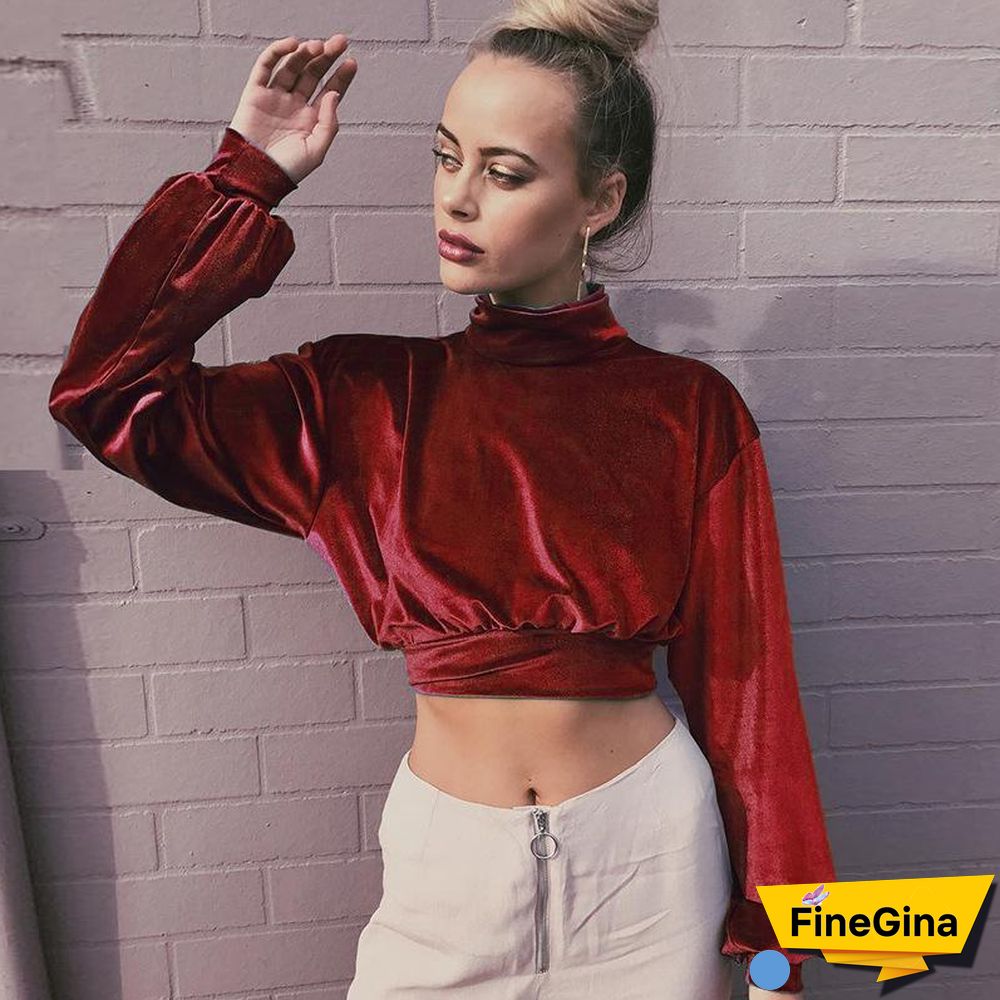 Fashionable High Collar Velvet Short Open Navel Top