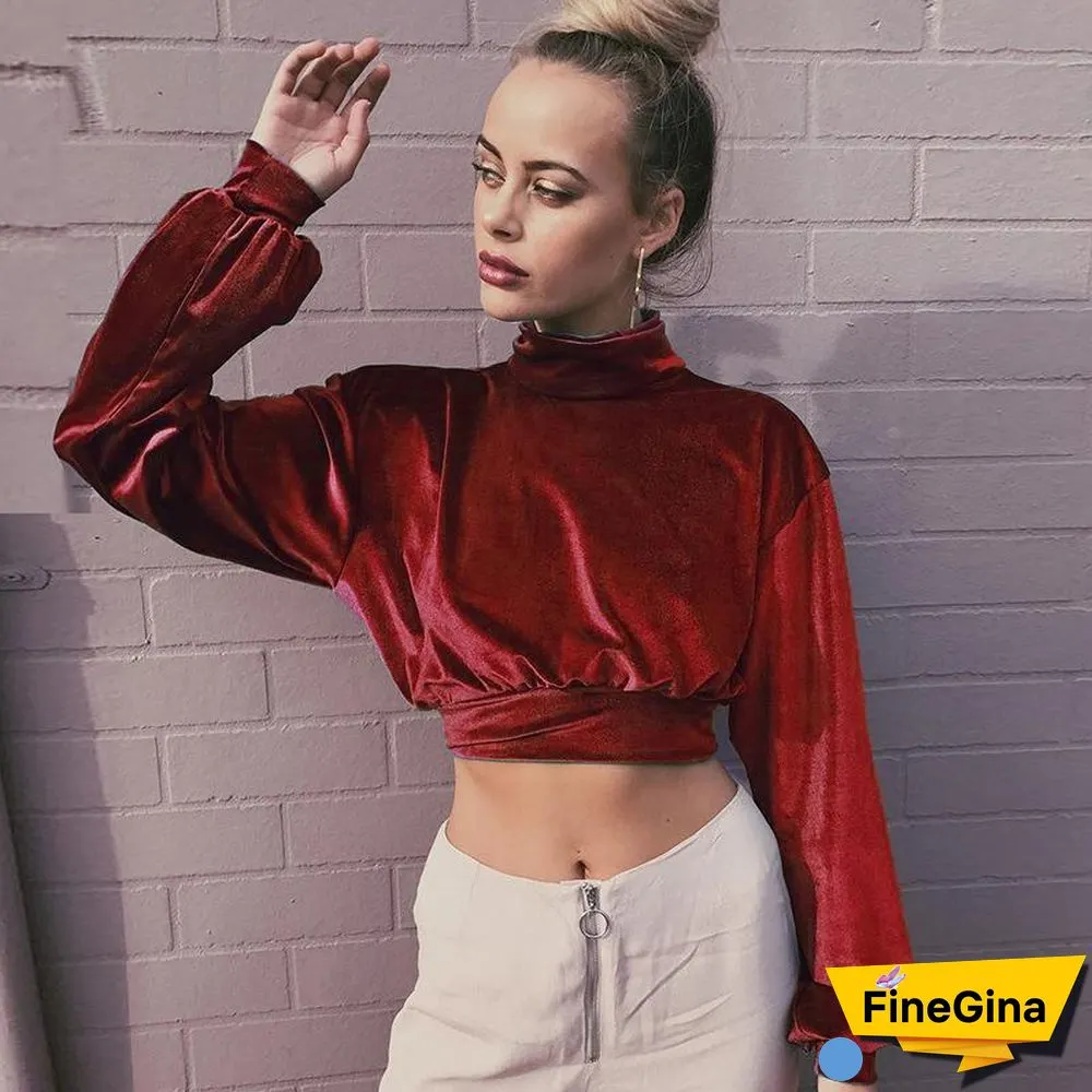 Fashionable High Collar Velvet Short Open Navel Top