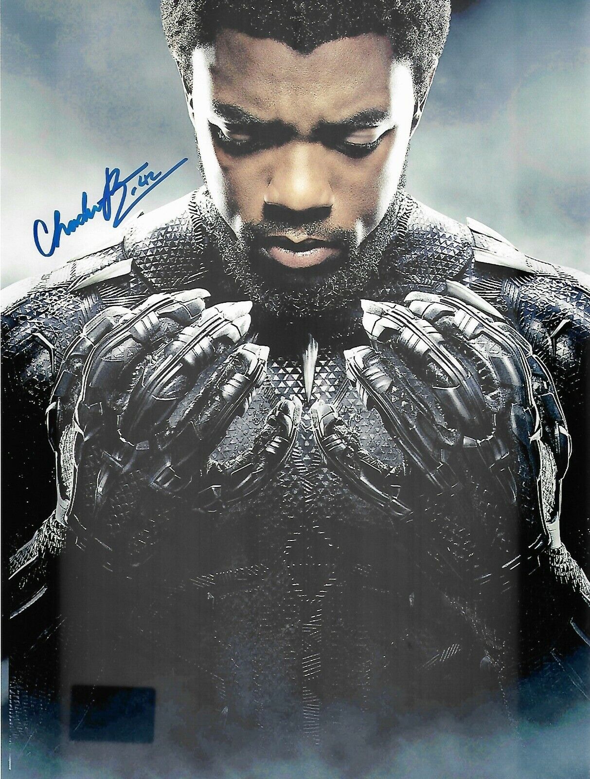 Chaduick Boseman Signed Autographed 8x10 Photo Poster painting Incl Coa