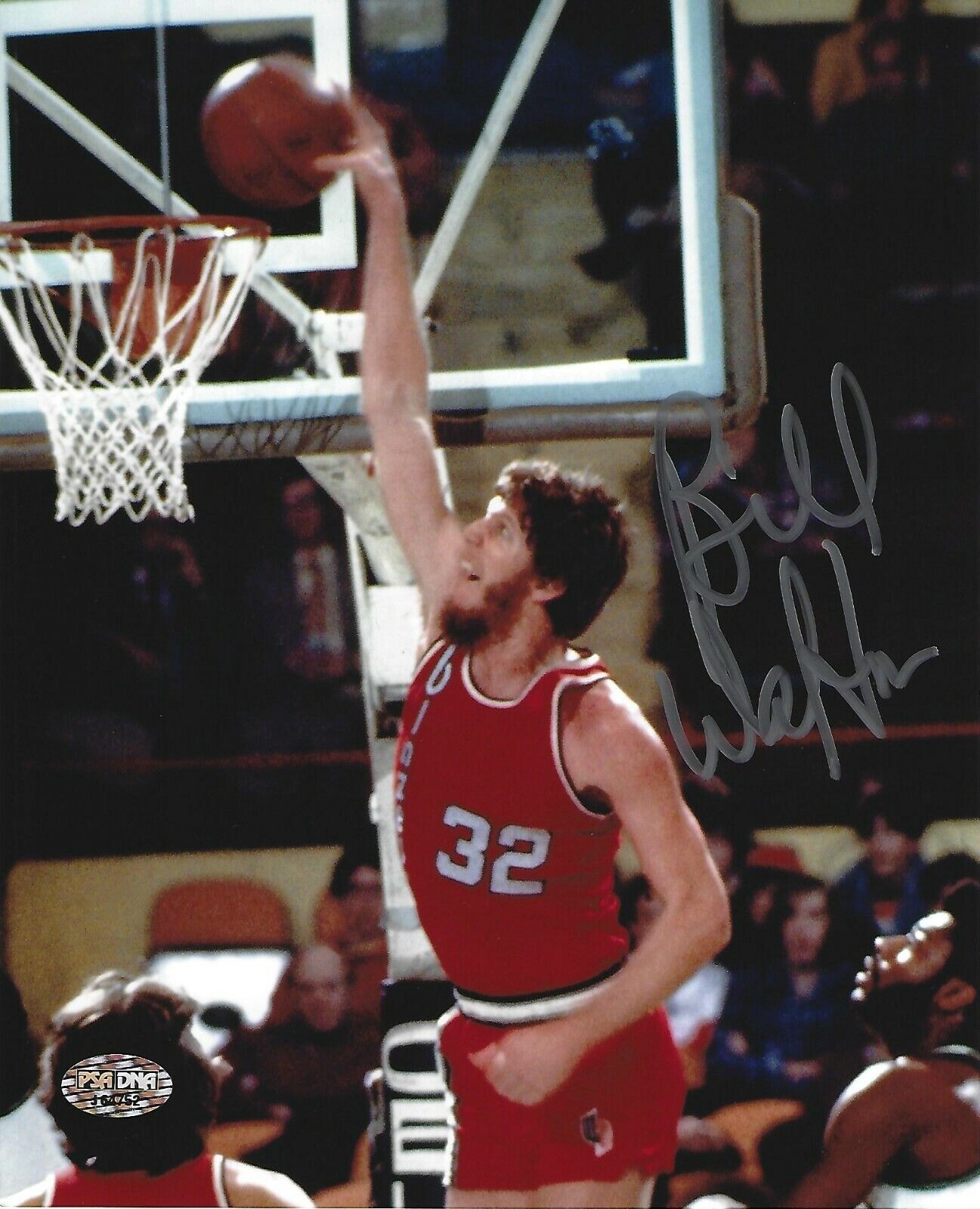 Bill Walton Signed Trail Blazers 8x10 Photo Poster painting PSA/DNA COA Basketball Picture HOF 1