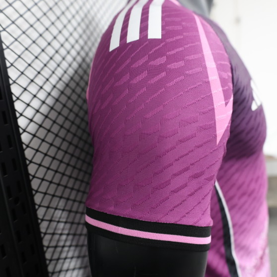 2024 Japan Special Edition Purple Player Version Football T-Shirt Thai Quality