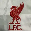 2024/2025 Liverpool Third Football Jersey 1:1 Thai Quality