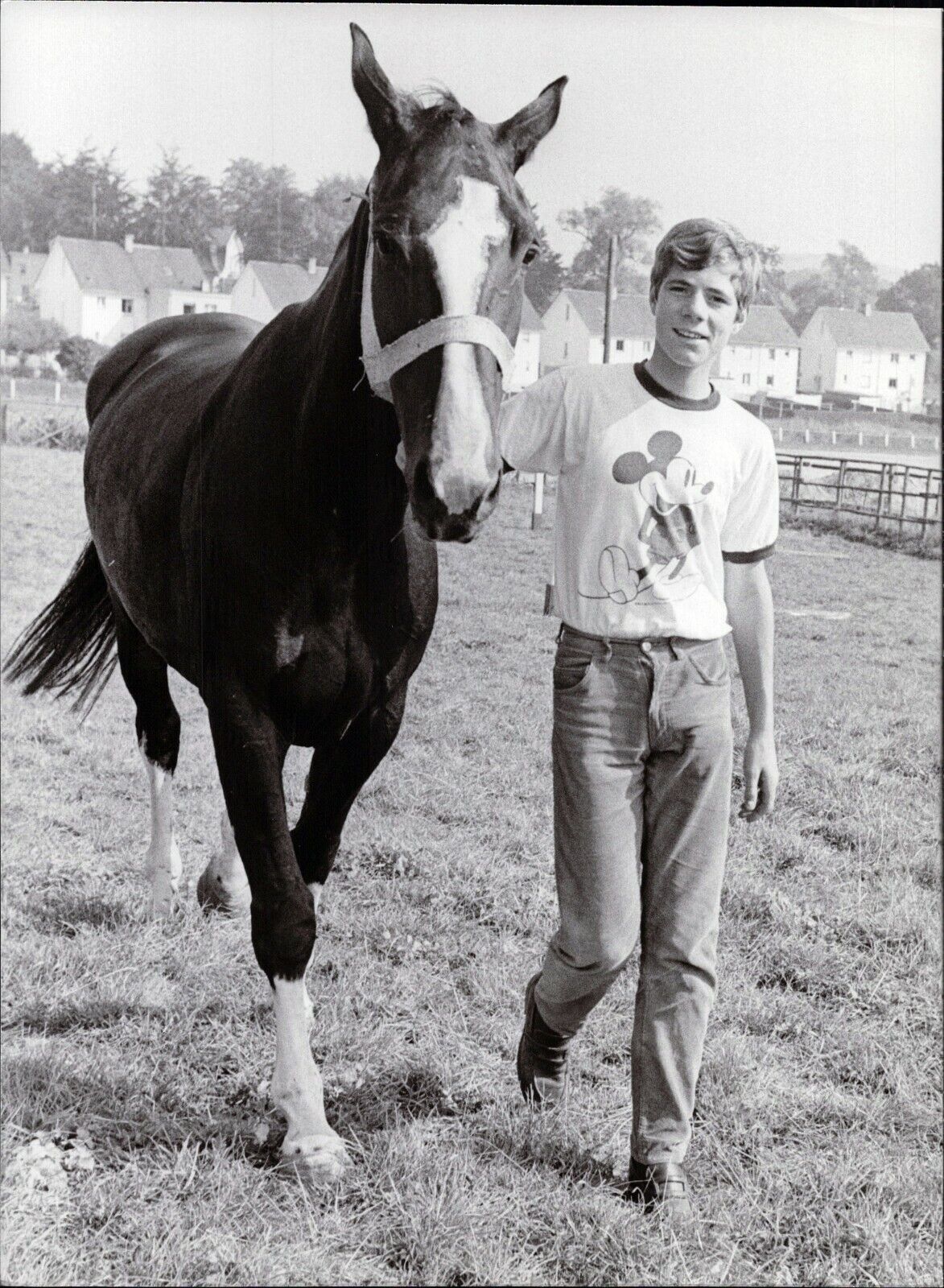 Heintje With Pferd - Vintage Press Photo Poster painting Norbert Unfried (U-6616