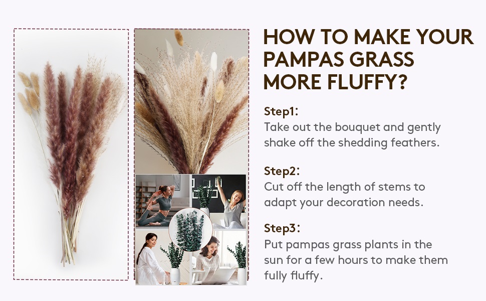 long lasting pampas grass, eco dried flowers, preserved eucalyptus leaves
