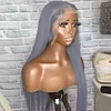 360 lace wig straight hair silver gray 100% human hair pre-drawn transparent lace