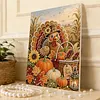Turkey Framed Pearl Painting Kit 30x40cm for Adults