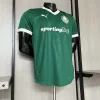 2025-2026 Player  Palmeiras Home Football Shirt 1:1 Thai Quality