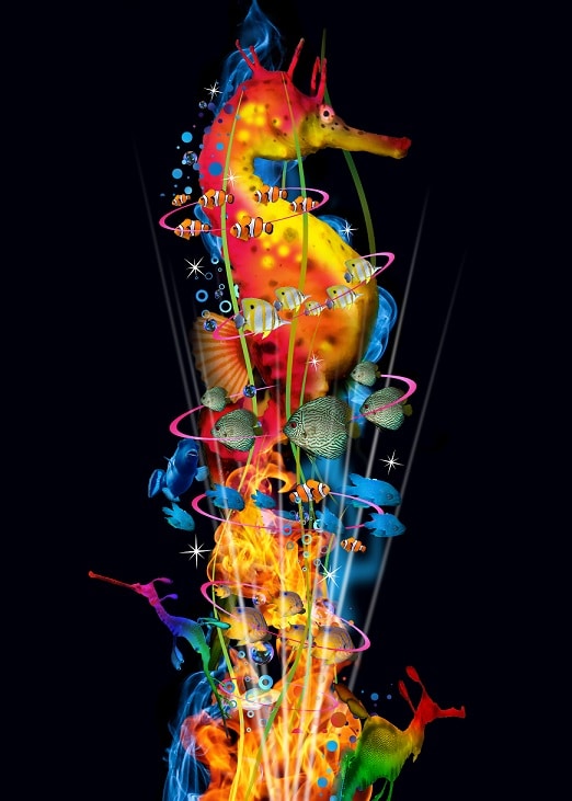 

Seahorse – Paint By Numbers - 40*50CM, 501 Original