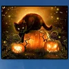 Halloween Black Cat - Paint By Numbers - 50*40CM