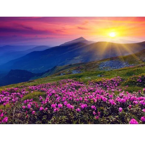 DIY Paint by Numbers Canvas Painting Kit for Kids & Adults - Perfect Sunset、bestdiys、sdecorshop
