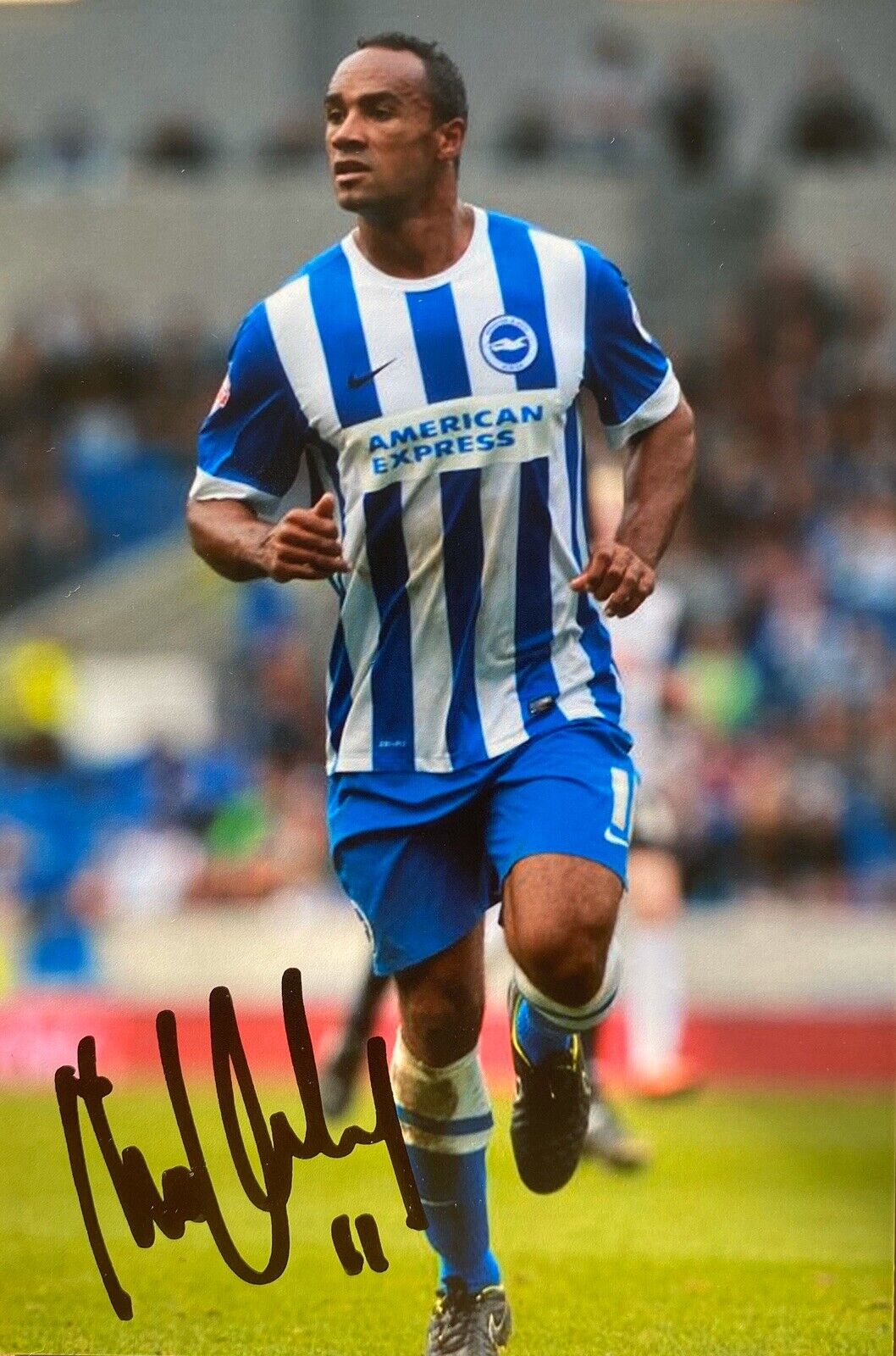 Chris O'Grady Hand Signed 6X4 Photo Poster painting - Brighton & Hove Albion