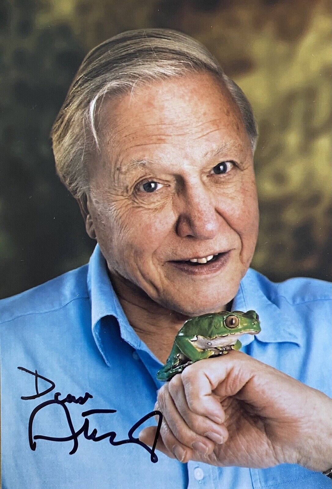 Sir David Attenborough Genuine Hand Signed 6x4 Photo Poster painting 6