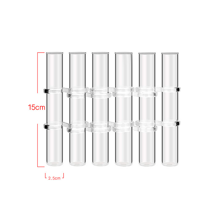 6/8 Test Tubes Flower Vases Plant Display Holder, DIY Shapeshifting Glass Test Cylinder Vase Kit 