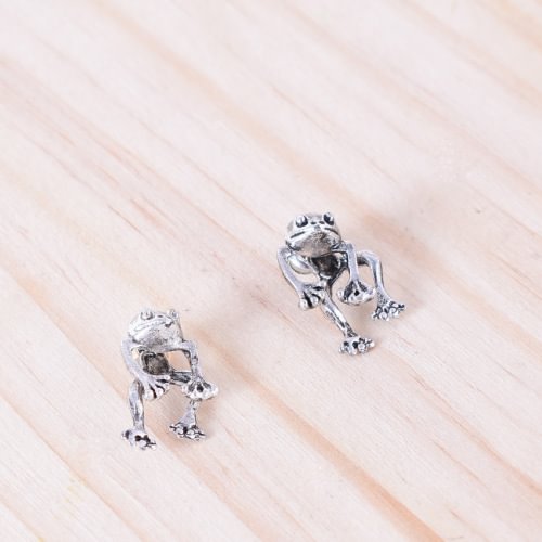Retro Funny Frog Women's Earrings