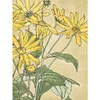 【Limited Stock Sale】Full Embroidery Eco-cotton Thread 11CT Printed Flower Cross Stitch Kit 30x40cm