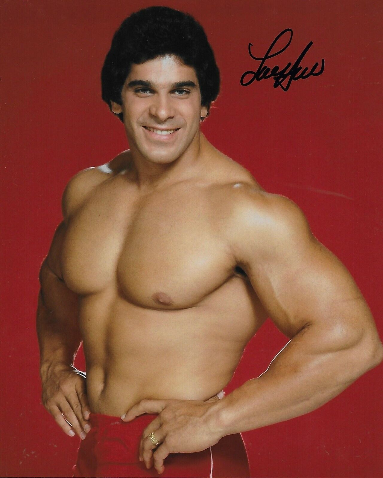 Lou Ferrigno Original In Person Autographed 8X10 Photo Poster painting - The Hulk #14