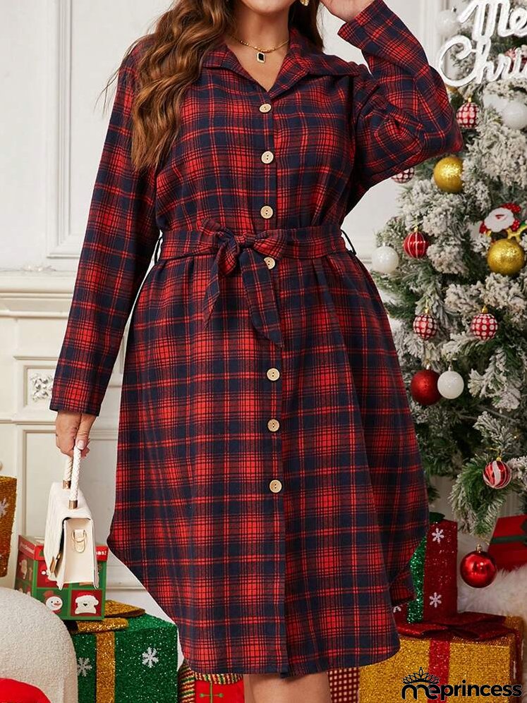 Plus Size Women's Autumn & Winter Plaid Dress