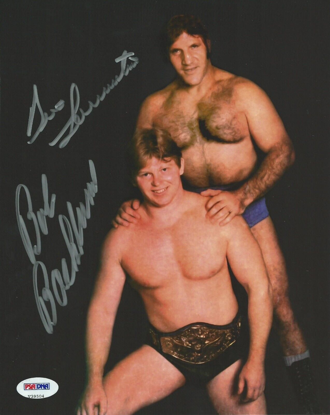 Bruno Sammartino & Bob Backlund Signed WWE 8x10 Photo Poster painting PSA/DNA COA Picture Auto'd