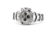 Rolex 116509 Daytona Steel - New