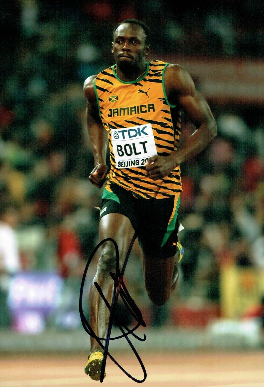 Usain BOLT Olympic Athlete 2019 SIGNED 12x8 Photo Poster painting 3 AFTAL Autograph COA