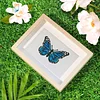 12pcs Butterfly 5D DIY Square Drill Diamond Painting Kits for Adults Beginners Home Decor Diamonds Paintings Gem Art 5.91x7.09in