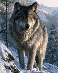 Wolf Spirit - Diamond Painting