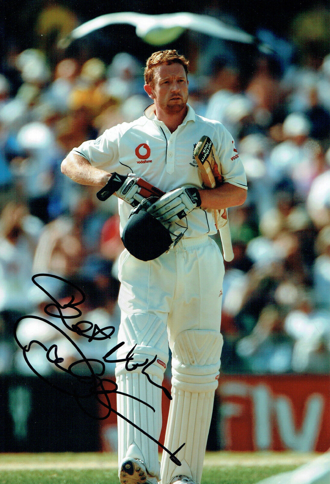 Paul COLLINGWOOD Signed Autograph 12X8 England ASHES Cricket Photo Poster painting AFTAL COA