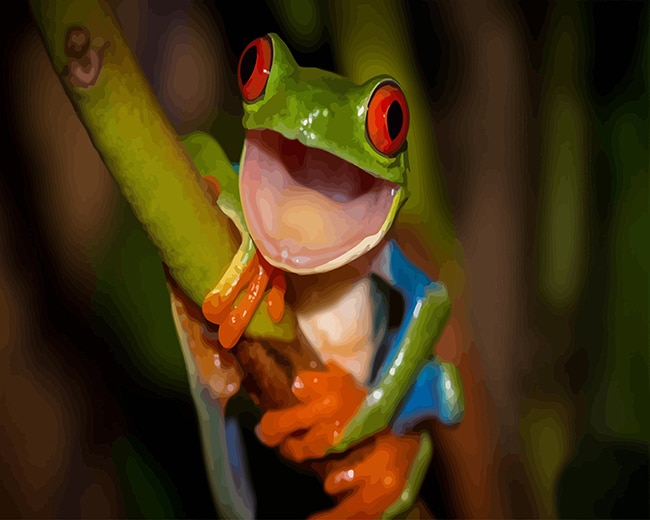 

Happy Green Frog – Paint By Numbers - 40*50CM, 501 Original