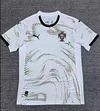 2025 Portugal Away Football Shirt 1:1 Thai Quality