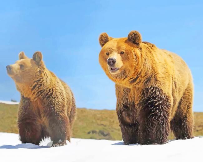 

Bears In Snow – Paint By Numbers - 40*50CM, 501 Original