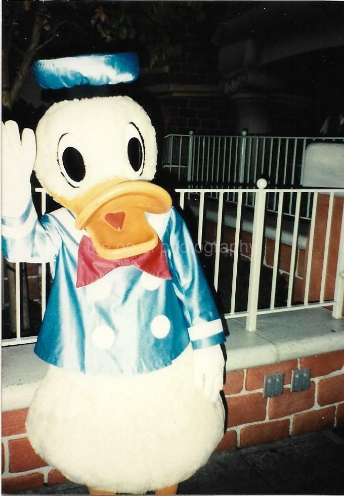 DONALD DUCK Disney Mascot FOUND Photo Poster painting ColorOriginal Snapshot 14 1