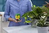 Garden Water Soluble All Purpose Plant Food Nutrients