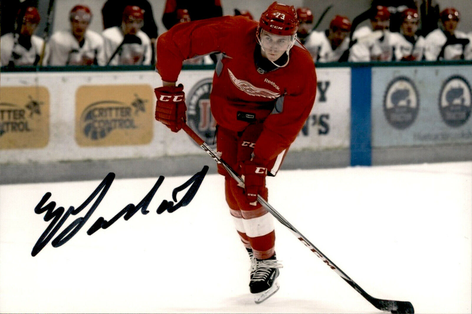 Zach Gallant SIGNED 4x6 Photo Poster painting DETROIT RED WINGS #2