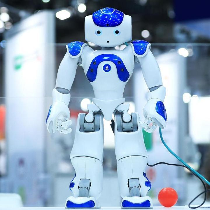 robot lawrence