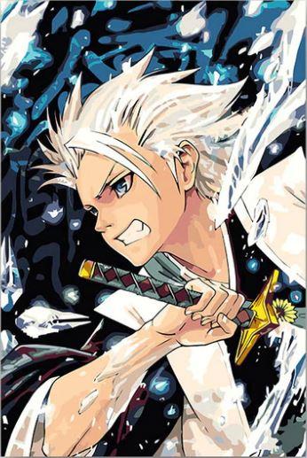 

Tōshirō Hitsugaya – Paint By Numbers - 40*50CM, 501 Original