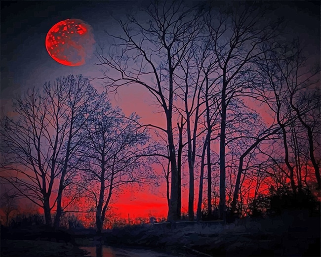 

Red Forest Silhouette – Paint By Numbers - 40*50CM, 501 Original