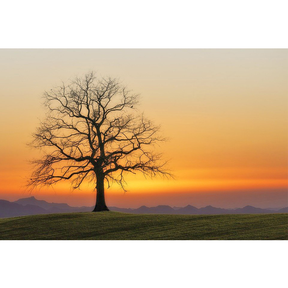 

Sunrise Tree - Round Drill Diamond Painting - 40*30CM, 501 Original