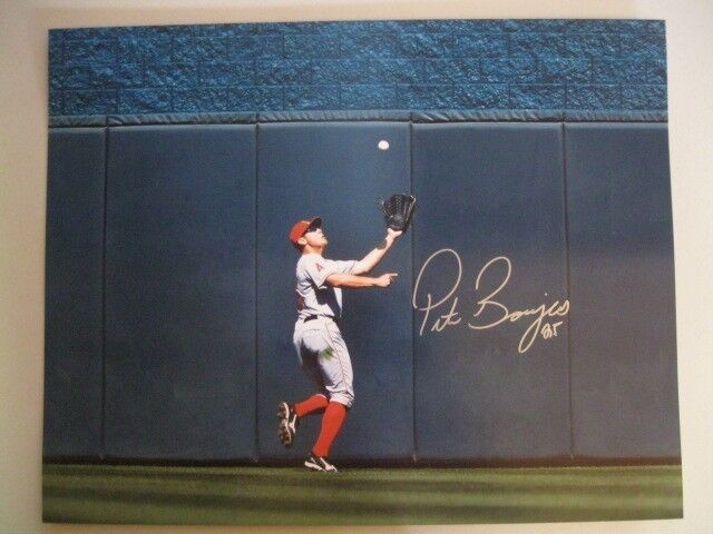 PETER BOURJOS Signed 16x20 Matte Photo Poster painting Los Angeles ANGELS Auto Autograph C