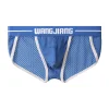 Men's Sexy Ultra-thin Breathable Mesh Lace Briefs