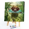 uk.everydayedeals (Limited Stock)Paint By Number - Oil Painting -  Dog (40*40Cm)