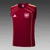 2025/2026 Arsenal Pre-Match Training Deep Dates Vest+Shorts Football1:1 Thai Quality
