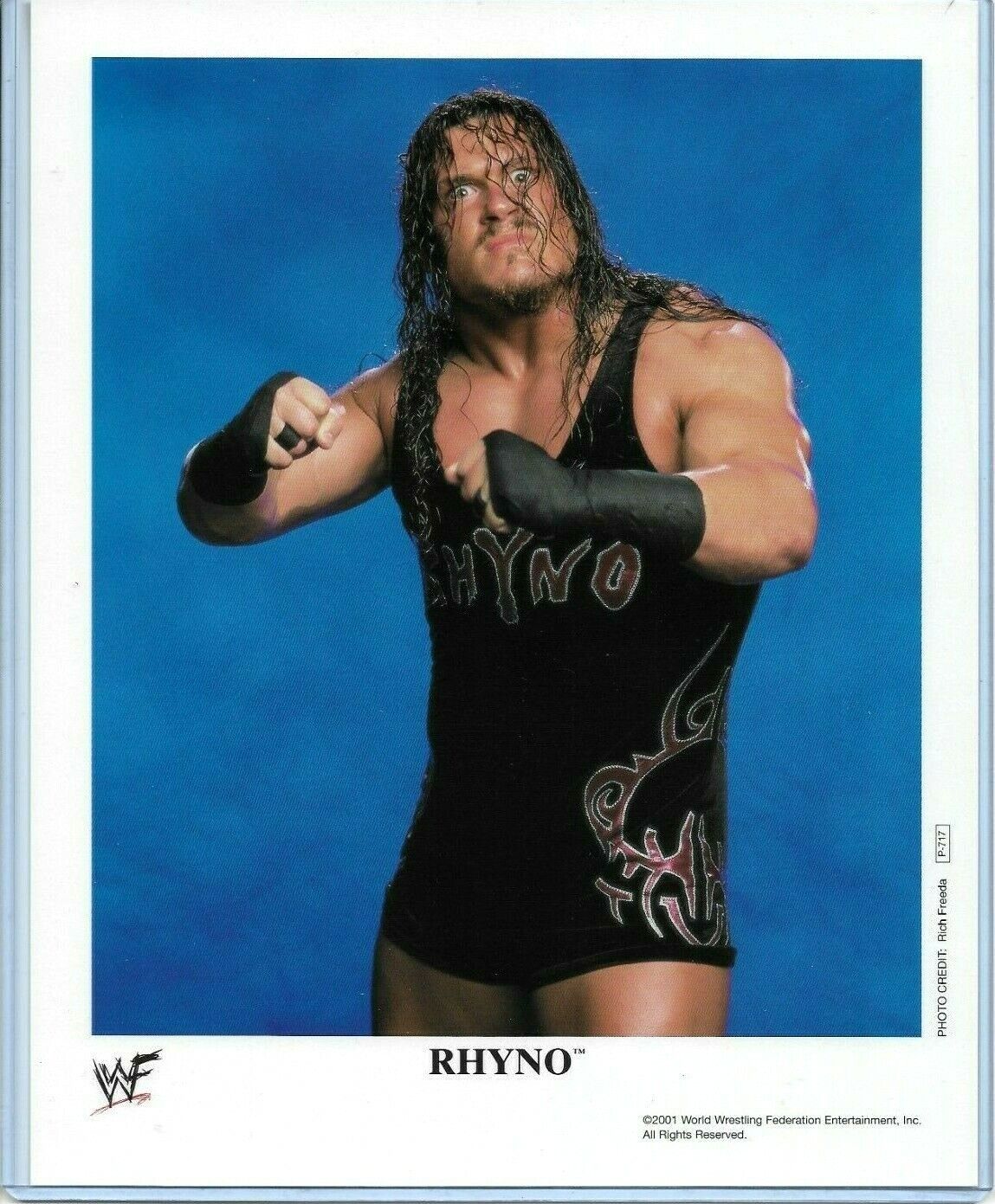 WWE RHYNO P-717 OFFICIAL LICENSED AUTHENTIC ORIGINAL 8X10 PROMO Photo Poster painting VERY RARE