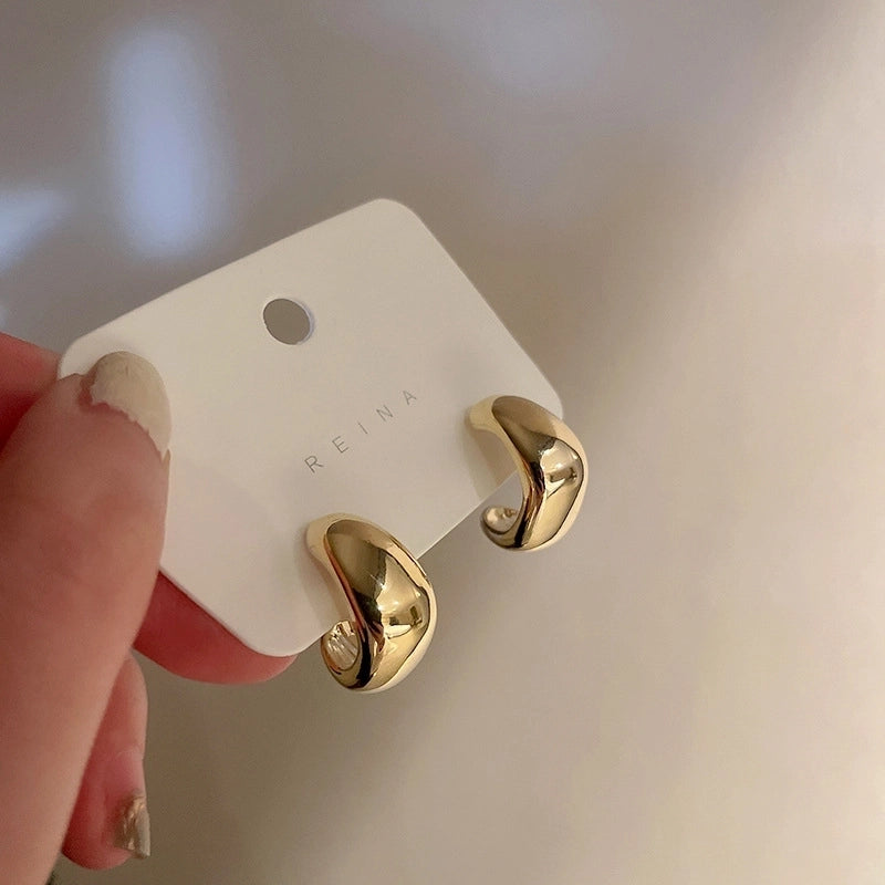 Silver Needle  Exaggerated Lovely Earrings Light Luxury High-grade Niche Earrings Fashion Metal Temperament Earrings For Women