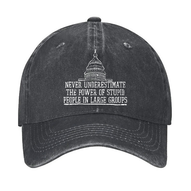 Never Underestimate The Power Of Stupid People In Large Groups Hat