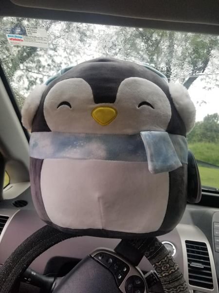 luna penguin squishmallow