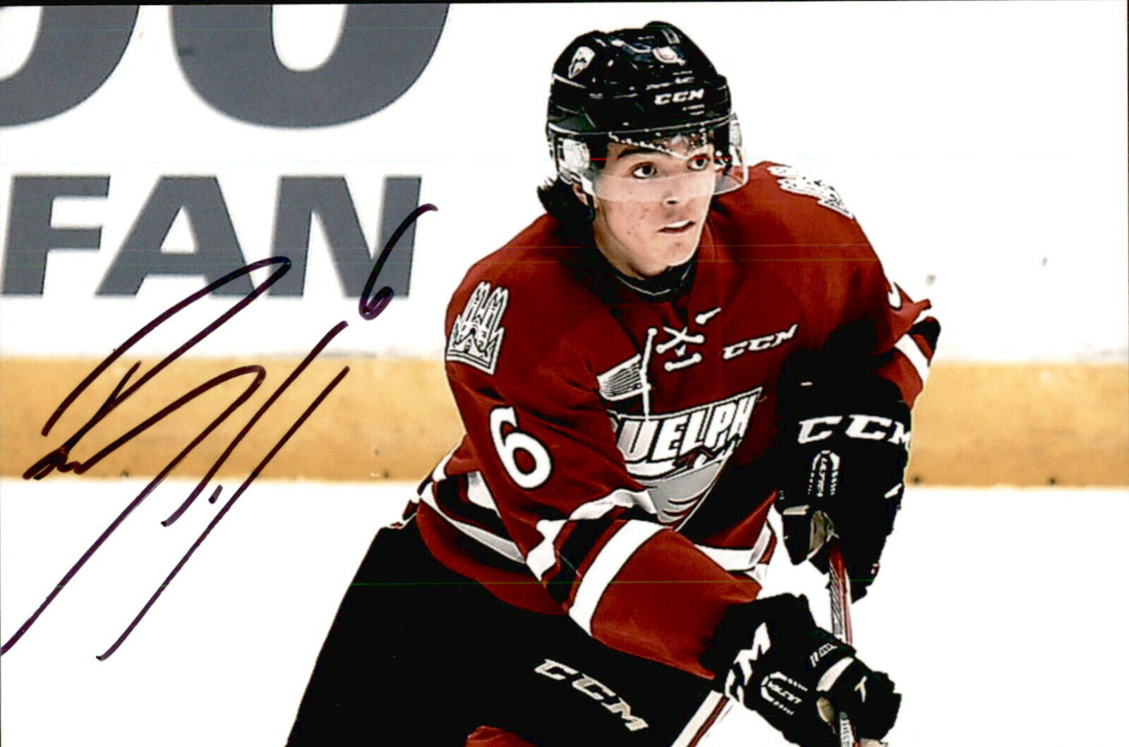 Ryan Merkley SIGNED 4x6 Photo Poster painting GUELPH STORM / SAN JOSE SHARKS #2